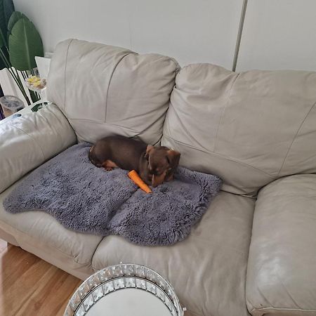 Aunty Katie'S House, Ni Tourist Board Certified & Located On The Main Oldpark Road To Belfast, With Free Continental Breakfast & Free Ultra Fast Sky Internet, Free Sky Sports & Free Sky Cinema, Self-Check In After 10Pm Gmt Hostel Kültér fotó