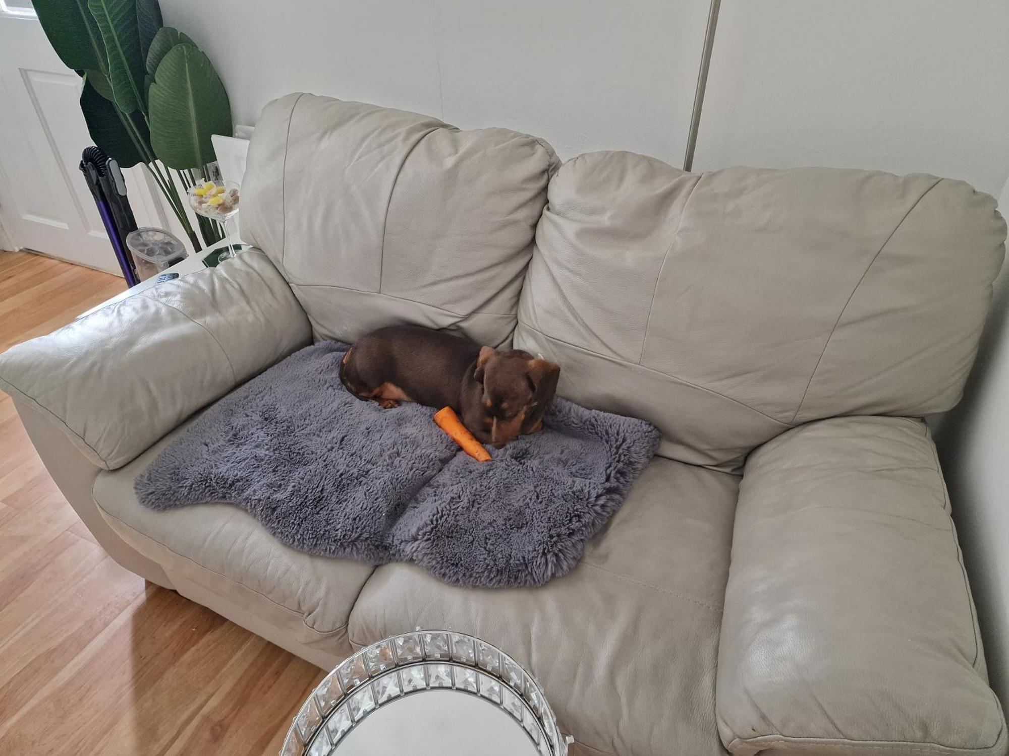 Aunty Katie'S House, Ni Tourist Board Certified & Located On The Main Oldpark Road To Belfast, With Free Continental Breakfast & Free Ultra Fast Sky Internet, Free Sky Sports & Free Sky Cinema, Self-Check In After 10Pm Gmt Hostel Kültér fotó